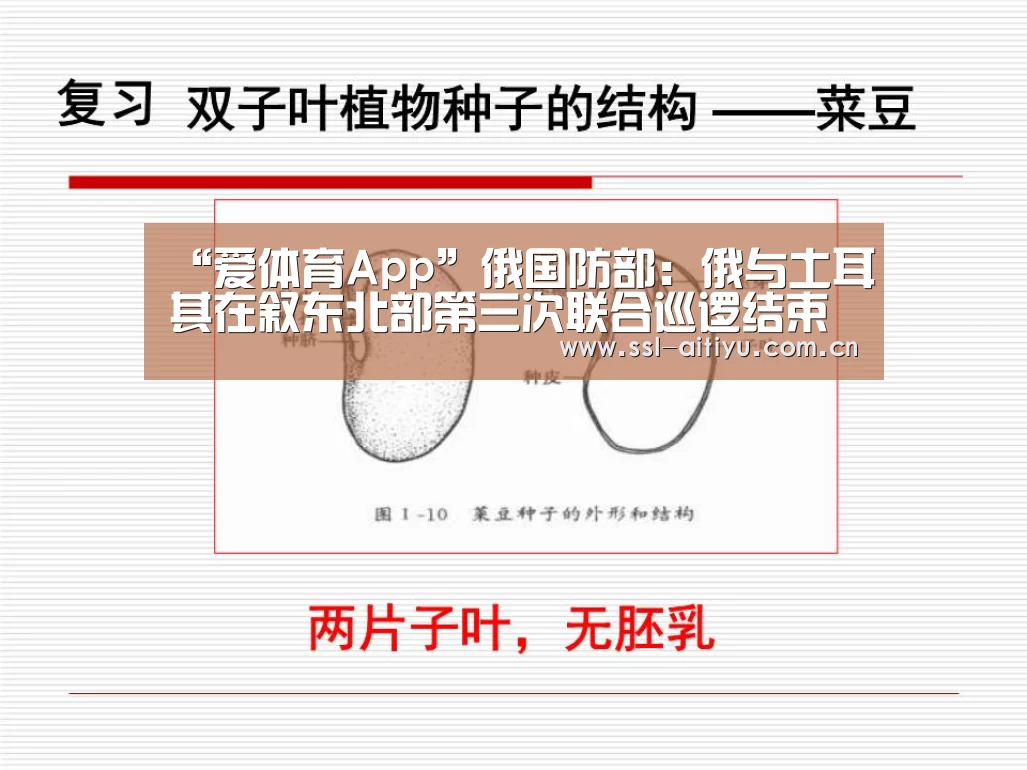 “爱体育App”俄国防部:俄与土耳其在叙东北部第三次联合巡逻结束(图2) 爱体育App